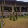 Samfred Garden