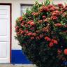 Saltish Hotel & Villas