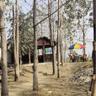 Nepal Himalayan Paulownia Resort