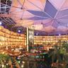 Sahara Star