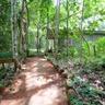 Budongo Eco Lodge