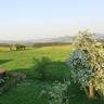 Flat With Private Pool in Sauerland