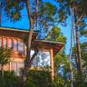 Tea Cottage Resort and Spa