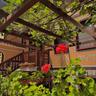 Family Hotel at Renaissance Square