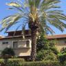 Cosy room near IDC & Center- Herzliya Homestay