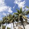Pacific Palm Resort