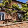 Cowpers Oak 