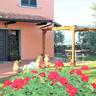 Pino Villa: Pool, Chianti & Thermal Baths