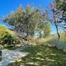 Pleasant Holiday Home With Whirlpool
