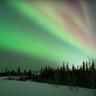 SKOG - Aurora igloos