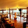 Da Vinci Gorilla Lodge