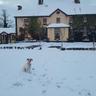 Charlotte's Way B&B