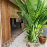 Green Villa Moorea