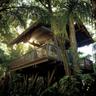 Residences at Dorado Beach, a Ritz-Carlton Reserve