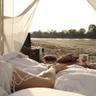 The Retreat Selous