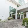 Palms, Mount Lavinia